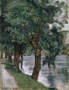 Willow Trees at the Rhone