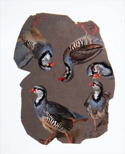 Sketch of Partridges by Ferdinand Phillip de Hamilton
