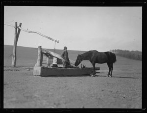 Horse at Waterhole by Ferdinand Schmutzer
