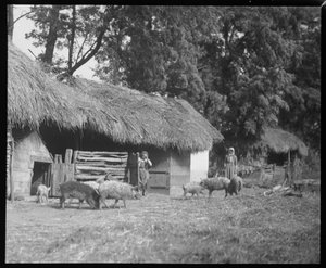 Stable in Semere by Ferdinand Schmutzer