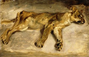 A Sleeping Lioness
