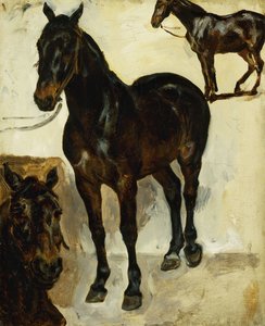 Three Studies of Horses by Ferdinand Victor Eugene Delacroix