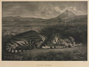Royal Tiger by Ferdinand Victor Eugene Delacroix