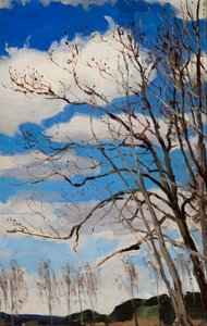 Trees Against the Sky