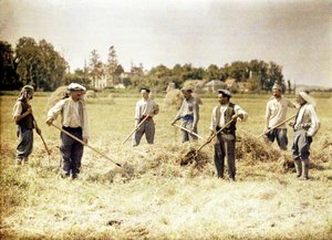 Eight Members of the 143rd Infantry Division of the French Army Making Hay, Soissons, Aisne, France, 1917 by Fernand Cuville