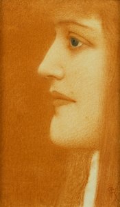 Study of a Woman in Profile