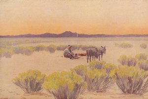 Arizona afterglow