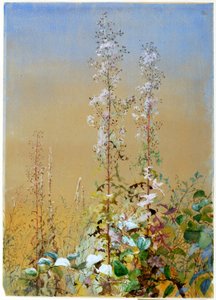 Untitled by Fidelia Bridges