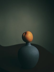 Dark Peach Vase by FiguraNYC Photography