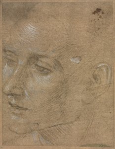 Head of a Young Man, second half 1400s