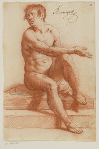 Seated Male Nude Turning His Head to the Left