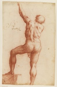 Standing semi-nude male seen from behind with his left arm raised