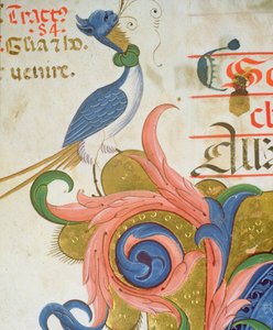 Fantastical Bird with Human Head (detail)