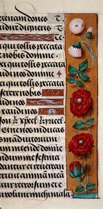Detail of a floral border from a Book of Hours by Flemish School