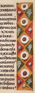 Detail of a Floral Border from a Book of Hours, c.1500 by Flemish School