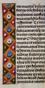 Detail of a floral border from a Book of Hours, c.1500 by Flemish School