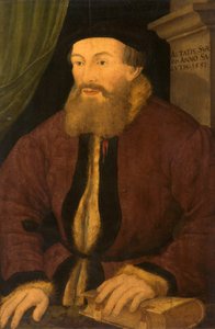 Portrait of a Man, 1551 by Flemish School