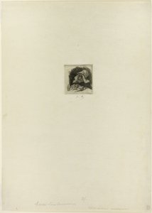Flemish Market-Gardener