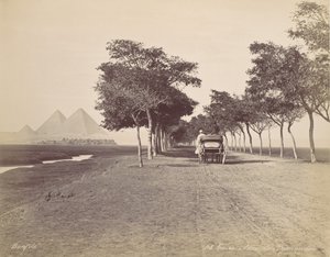Caire. Allée de Pyramides by Félix Bonfils