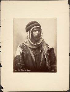 Bedouin Sheikh of Palmyra by Félix Bonfils
