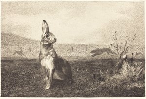 The Hare