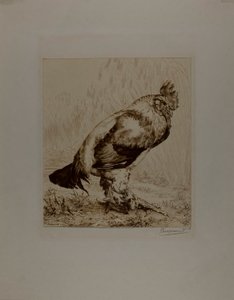 The Old Cock by Félix Henri Bracquemond