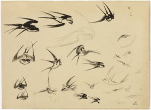 The Swallows by Félix Henri Bracquemond