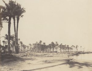 El-Nâcerah, Dattiers, Banks of the Nile and Boats, 1851-52, printed 1853-54