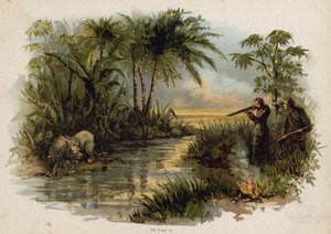 Scene from The Swiss Family Robinson: Hunting the Lion by Florence Maplestone