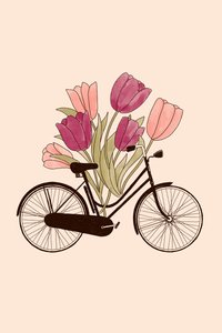 Bicycle and flower: Amsterdam, 2022