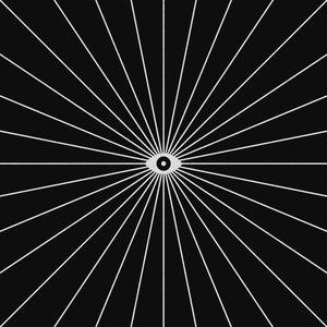 Big Brother 1 by Florent Bodart