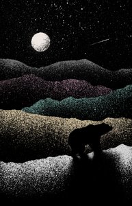 Wandering Bear by Florent Bodart