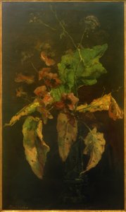 Anemones and Leaves