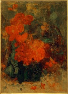 Begonias and Nasturtiums