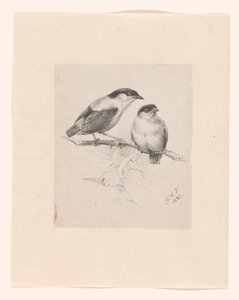 Two Tits on a Branch