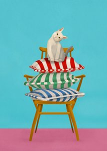 Curious Cat On Pillows