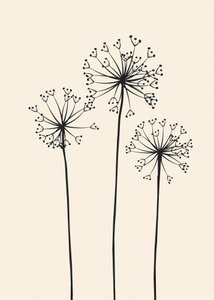 Minimalist Dandelion Blooms by Flow Line