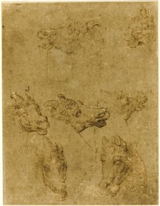 Heads of Horses and Unicorns by Follower of Leonardo da Vinci