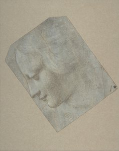 The Head of a Woman in Profile Facing Left by Follower of Leonardo da Vinci.