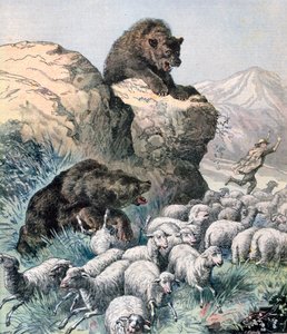 Bears of the Cagyre by Fortuné Méaulle