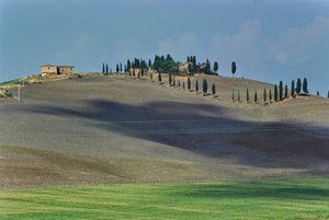 Tuscan Countryside by Fosco Maraini