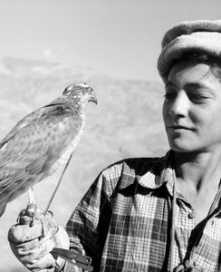 Young Falconer of Chitral on the Hindu-Kush by Fosco Maraini