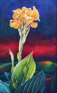 Yellow Canna Lily