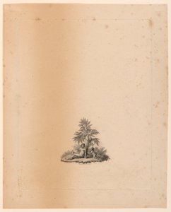 Vignette for 