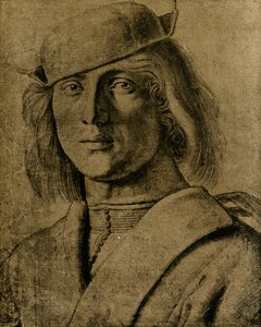 Portrait of a Young Man