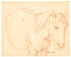 A Horse by Francesco Fernandi