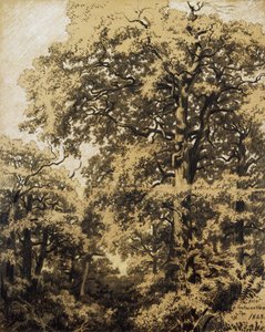 Forest of Fontainebleau by Francesco Gamba