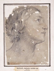 The Head of a Woman, in Profile to the Right