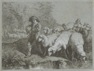 Shepherd with Flock of Sheep and Goats