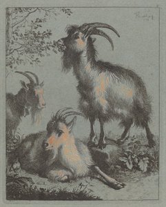 Three Goats by Francesco Londonio